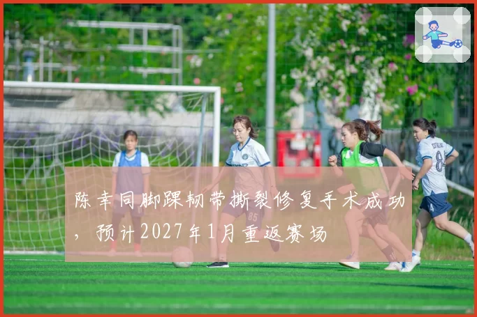 陈幸同脚踝韧带撕裂修复手术成功，预计2027年1月重返赛场