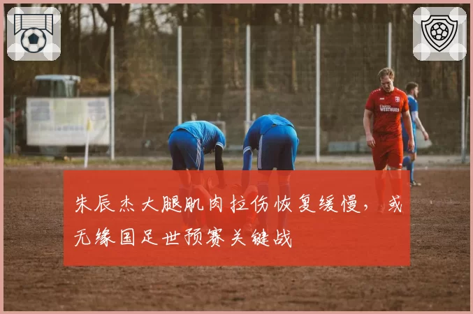 朱辰杰大腿肌肉拉伤恢复缓慢，或无缘国足世预赛关键战