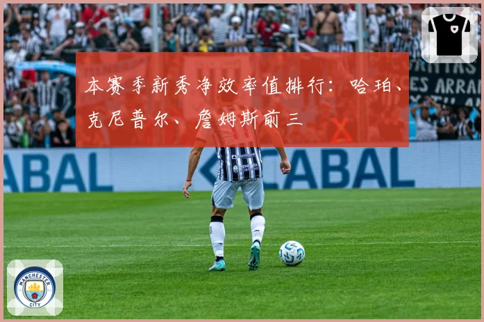 本赛季新秀净效率值排行：哈珀、克尼普尔、詹姆斯前三