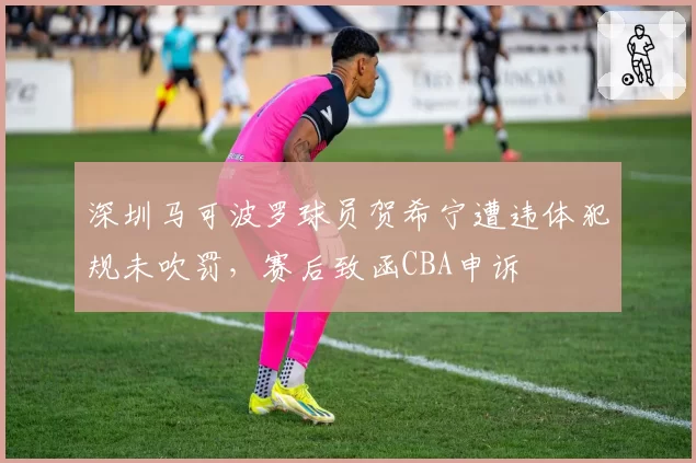 深圳马可波罗球员贺希宁遭违体犯规未吹罚，赛后致函CBA申诉